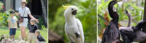 Read more about the article Bali Bird Park Tempat Wisata yang Wajib Dikunjungi oleh Keluarga
