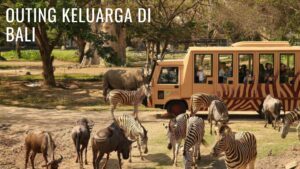Read more about the article Taman Safari Bali tempat outing di Bali dengan keluarga
